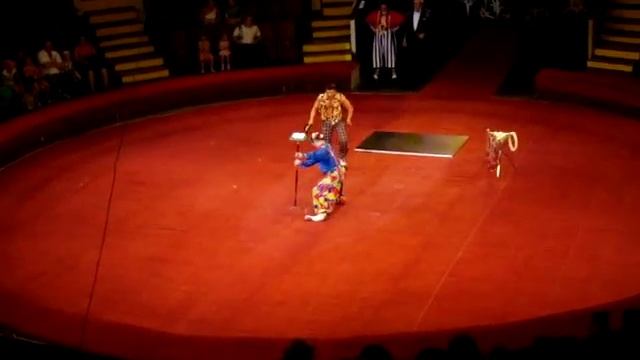 Весёлые клоуны - Донецкий государственный цирк «Космос» смотреть онлайн