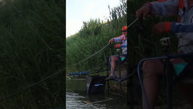 КАРПЫ СНОСЯТ УДИЛИЩА С СТОЙКИ!! смотреть онлайн