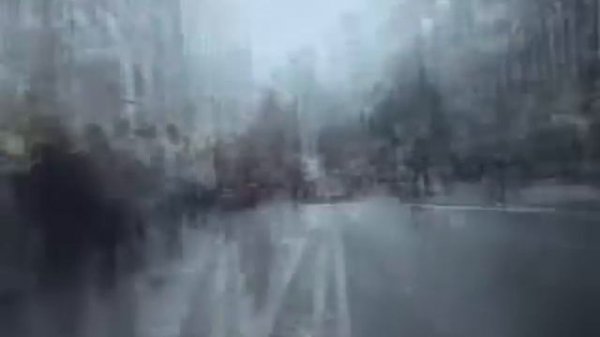 Prodigy - Mind Fields