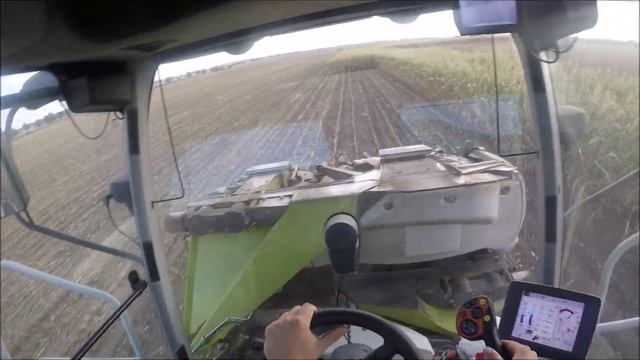 [DriverView]GoProlClaas Jaguar 950/Orbis 750 смотреть онлайн