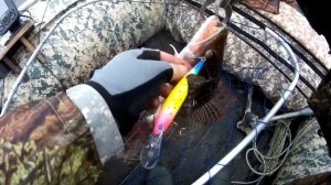 Рыбалка на Вятке/Ловим судака/Рыбалка 2020