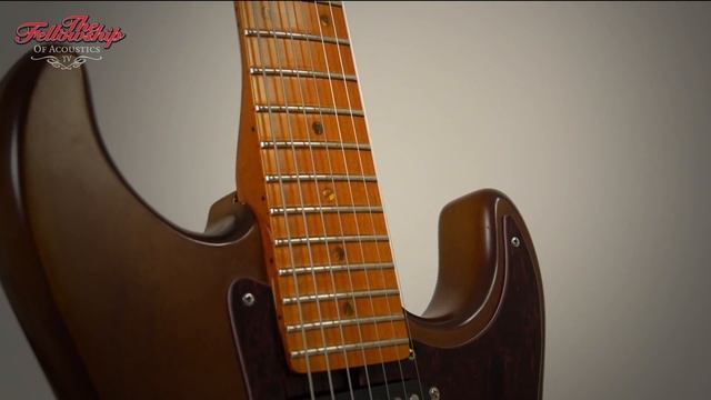 TFOA review - Dick Dijkman Stratocaster 7-string смотреть онлайн