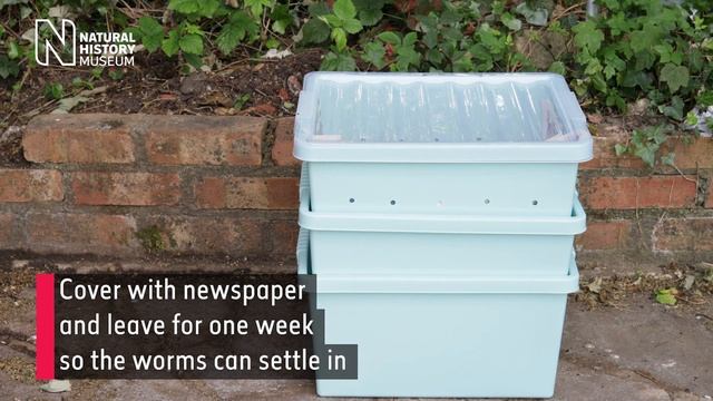 How to build a worm composter | Natural History Museum смотреть онлайн