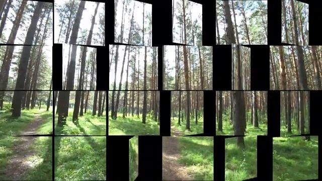 Прогулка в Сосновом Бору,большие изменения. смотреть онлайн