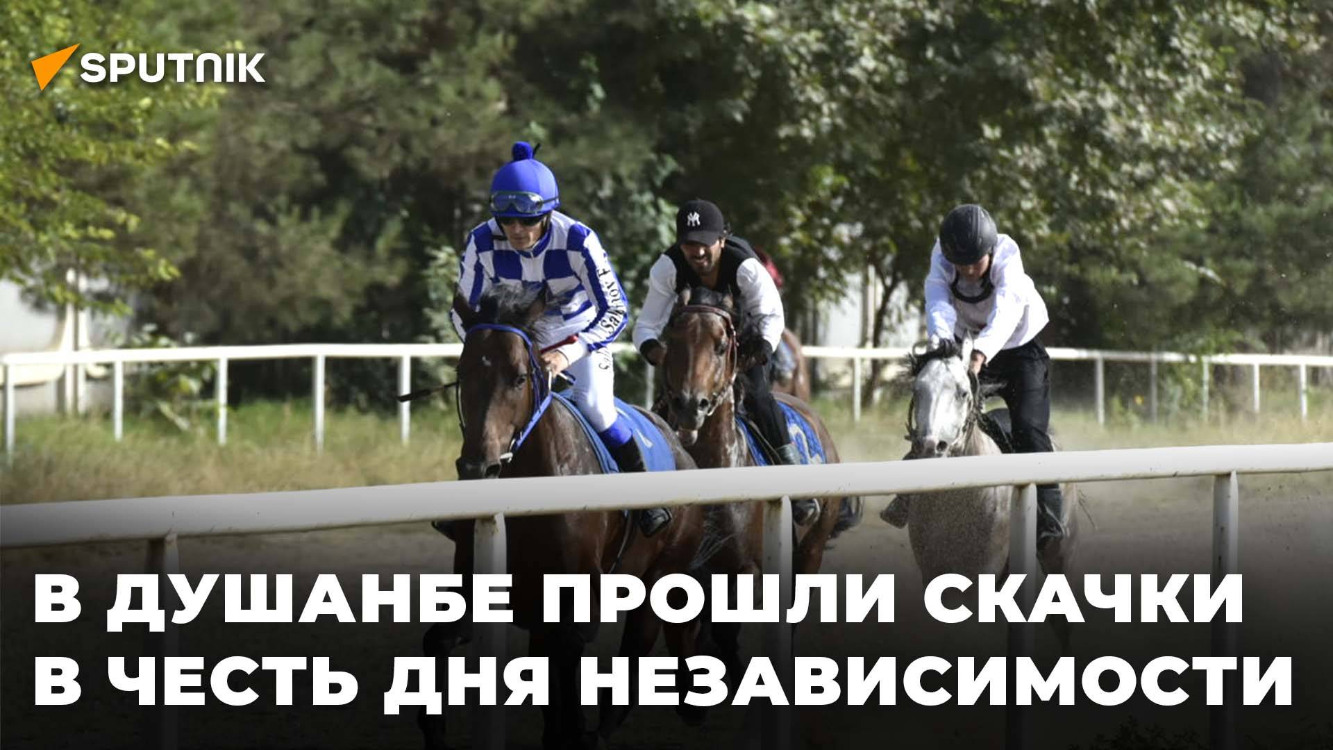 В Душанбе прошли праздничные скачки: как это было? смотреть онлайн