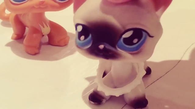 LPS: "Надо ли?" for Super pet'shops and Polina Myrina смотреть онлайн