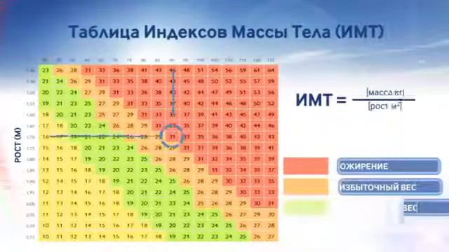 Система естественного снижения веса смотреть онлайн
