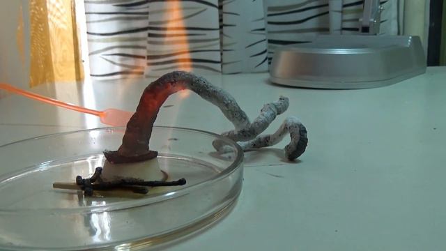 Химическая змея смотреть онлайн