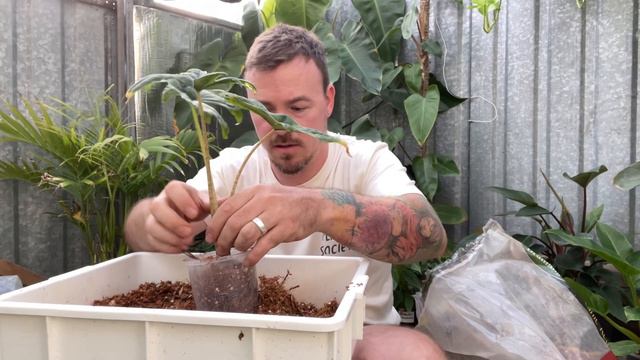 Welcome to my Greenhouse - The Happy Planter смотреть онлайн