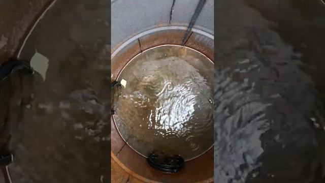 Бюджетный вариант дренажа на сыром участке смотреть онлайн