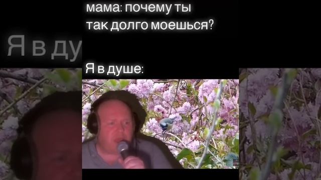 Мыться в душе смотреть онлайн