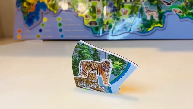 Обзор Магнитной карты «Животный мир России»