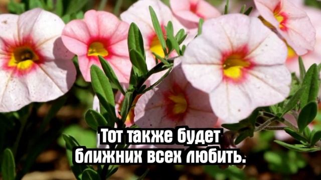 Псалмы Сиона - Бог есть любовь смотреть онлайн