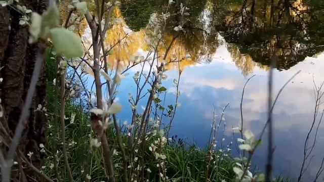 VID 1653683588639 Растрепало солнце волосы...1915 (Н. Клюев)...Павел Васильев Лахтинский смотреть онлайн