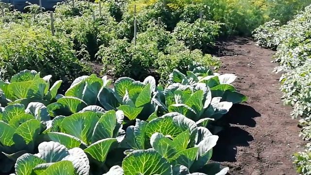 А что нужно для счастья 💐🏘️. смотреть онлайн
