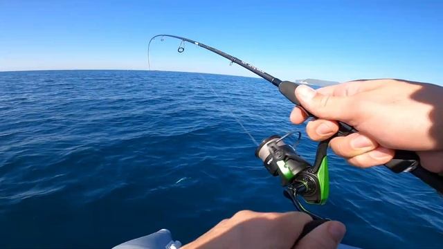 Троллинг Пеламиды на Черном море! 2020 смотреть онлайн