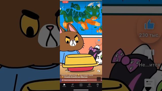 😸💖тазик кот, 10 минут💖😸  * автор маленькой версии: * Симбочка Пимбочка *