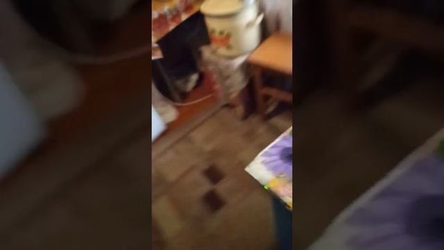 я у бабушки будем смотреть кино (описание) смотреть онлайн