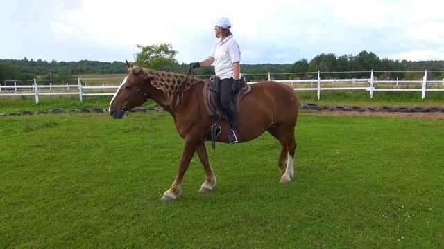 Где у лошади "газ"? Или что такое правильный посыл к троганью. смотреть онлайн
