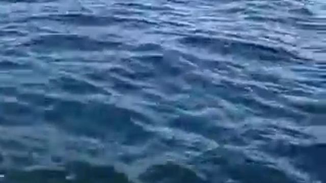 Эхолоты Для Рыбалки Выбор И Эксплуатация - Видео О Рыбалке Братьев Щербаковых Выпуск 34 смотреть онлайн