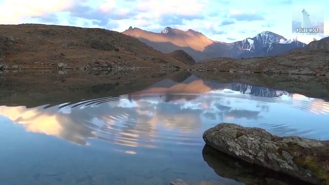 ЛУННЫЙ КАЛЕНДАРЬ НА 7 МАРТА 2022 ГОДА. ОБЩИЕ РЕКОМЕНДАЦИИ ДЛЯ ВСЕХ ЗНАКОВ ЗОДИАКА