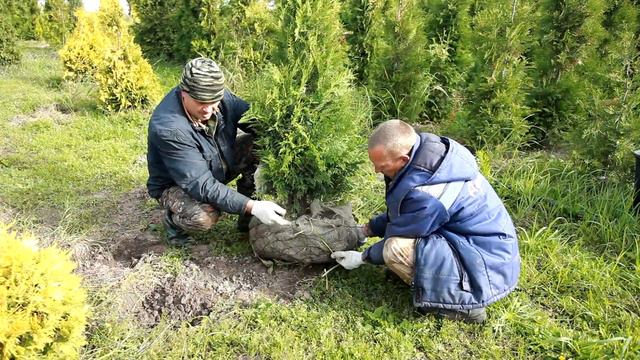 «СЕТКАКОМ»: производство сеток для упаковки комов деревьев смотреть онлайн
