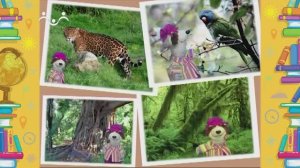 Школа Шишкиного Леса. География. Джунгли. Часть 3