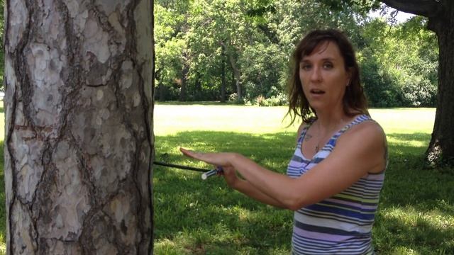 Dendrochronology: How to Core a Tree смотреть онлайн