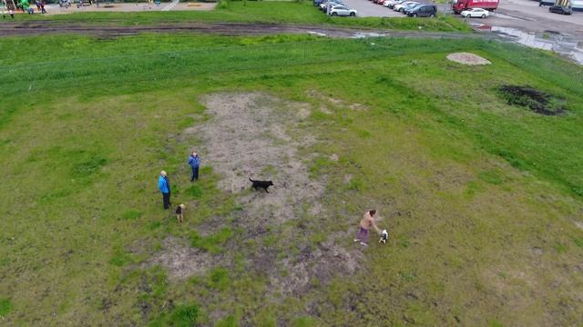 парк Щелково смотреть онлайн