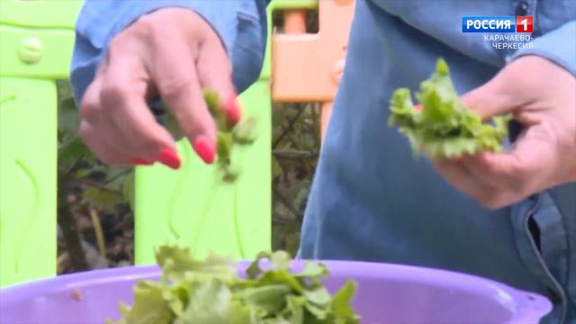 "Добрый вечер, республика!" смотреть онлайн