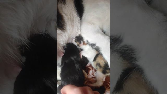 23 марта 2024 г. смотреть онлайн