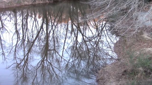 Hiking the Elkin and Alleghany Rail Trail, Elkin North Carolina смотреть онлайн