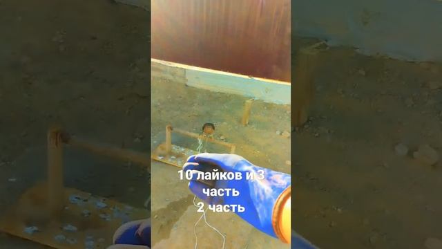 ястреб тювик         обучения #ястреб