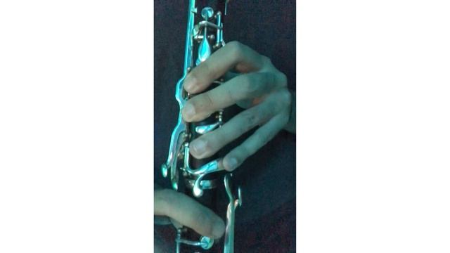 Ay Lachin . klarnet #klarnet #Aylachin #piano смотреть онлайн