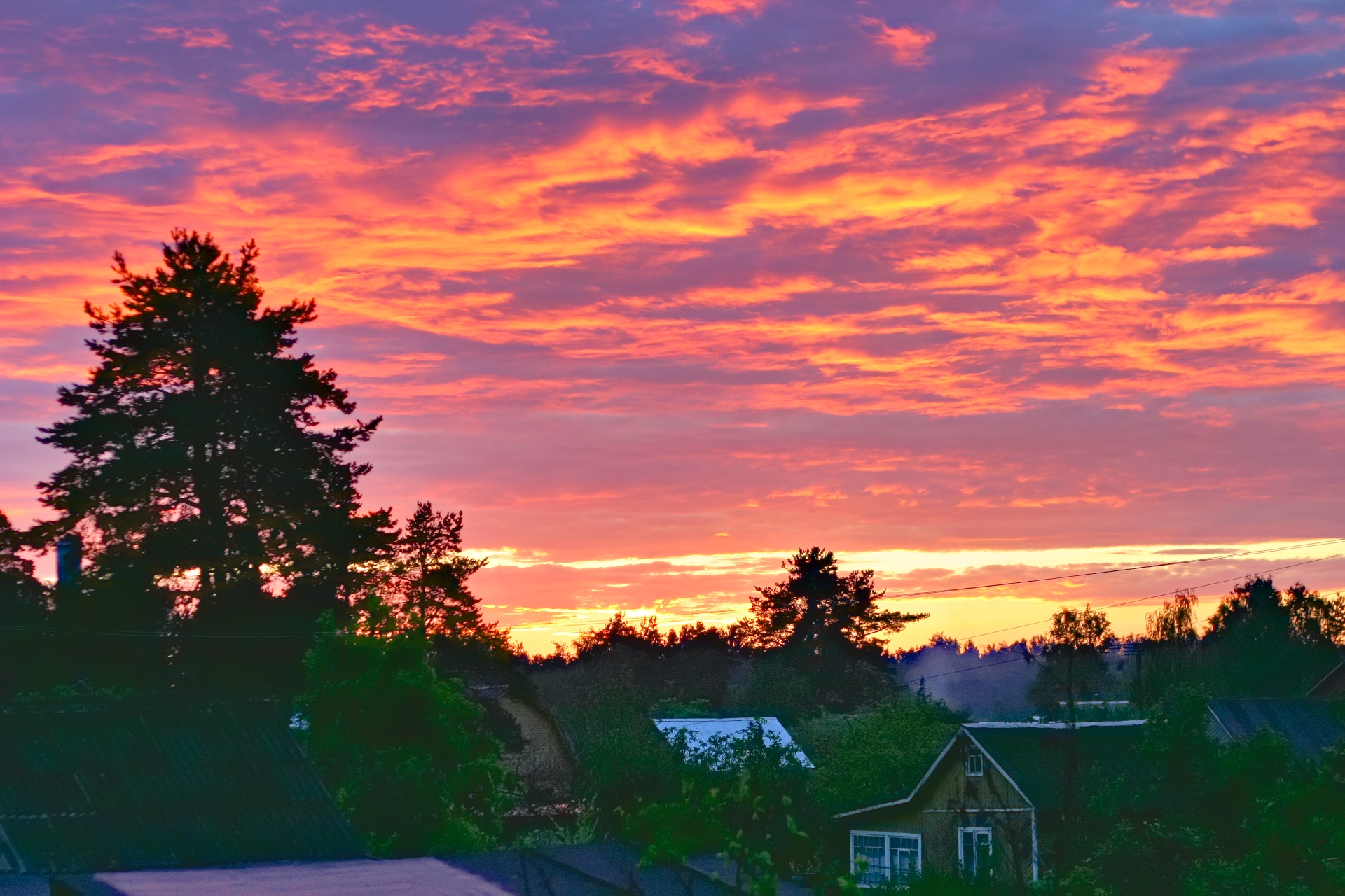 Как поёт соловей