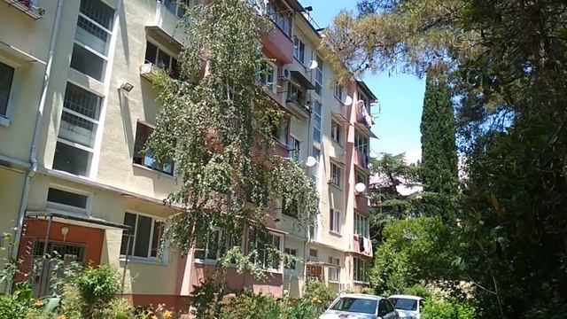 Сочи. Растения в июне.. смотреть онлайн