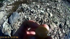 ГУЛЯЮ ПРЯМО ПО РЕКЕ. РЕКА МГА. В ПОИСКАХ ТРИЛОБИТОВ.