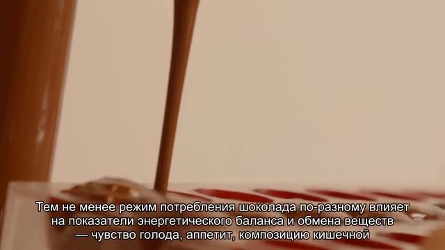 Ученые выяснили, когда лучше есть шоколад смотреть онлайн