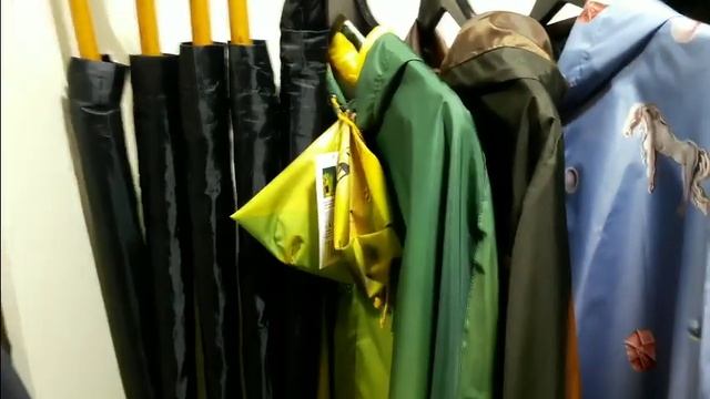 Сюрреализм в витринах,на выставке С.Дали.В природе тоже... смотреть онлайн