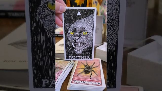 The Wild Unknown Animal Spirit Oracle Deck by Kim Krans ~ Oracle Deck Flip-Thru смотреть онлайн