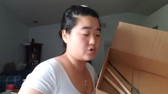 First Look at Sola Wood Flowers! смотреть онлайн