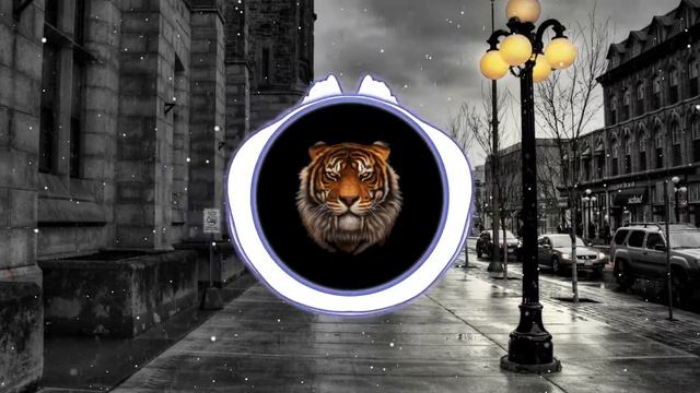 DJ MISTÉRIO-Trap depois da luta vem a vitória (Vídeo Oficial) смотреть онлайн