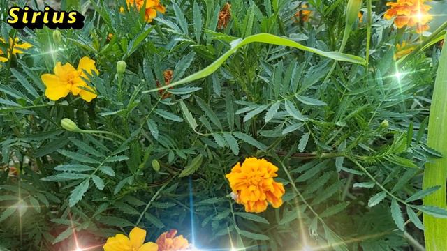 Дата рождения и богатство - кому повезло удачно родиться