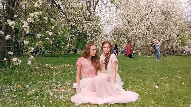 VLOG | барабаны и коты смотреть онлайн