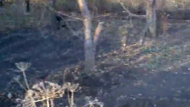 Дача 30 октября 2014 смотреть онлайн