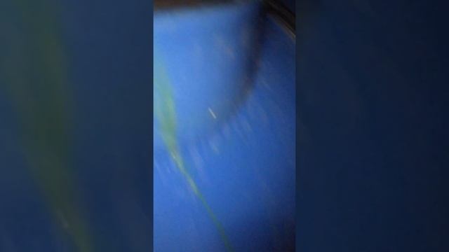 Рыба, мальки . Перевозка живой рыбы. Перевозка карпа. смотреть онлайн