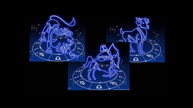 Растения талисманы для всех знаков зодиака. Растения приносящие удачу смотреть онлайн