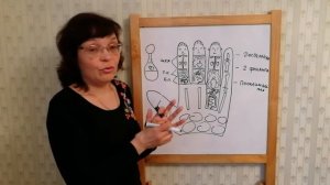 Су Джок Урок 12. Разновидности систем насекомого.