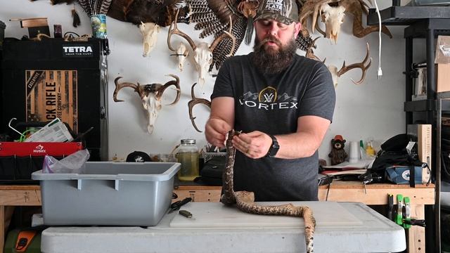 DIY rattlesnake skin and gut смотреть онлайн