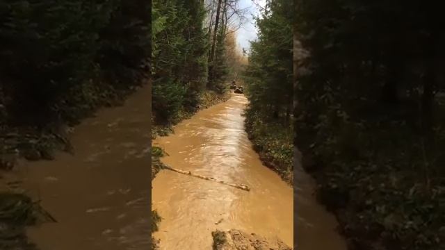 Арктик Кэт не напрягает и ненапрягаеться смотреть онлайн